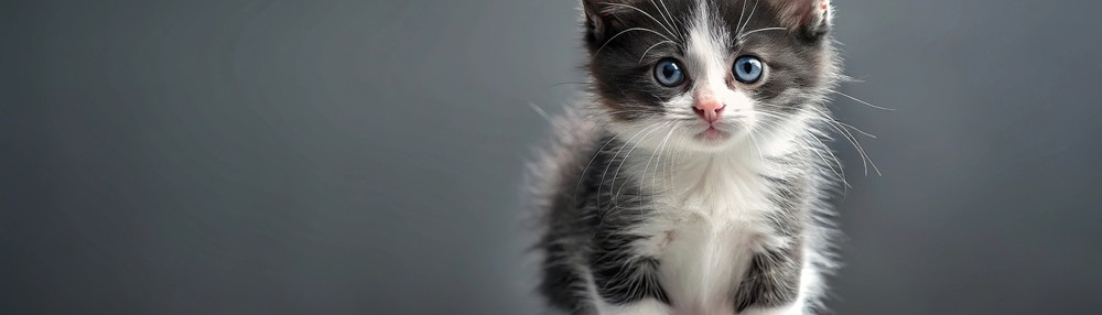 Kediler Ne Kadar Sürede Büyür? Kedi Gelişim Rehberi