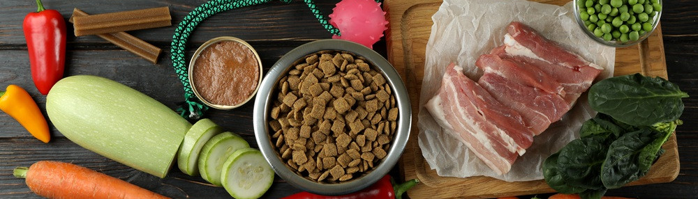 Kediler ve Köpekler İçin Dengeli Beslenme: Sağlıklı Mama Seçimi ve İpuçları