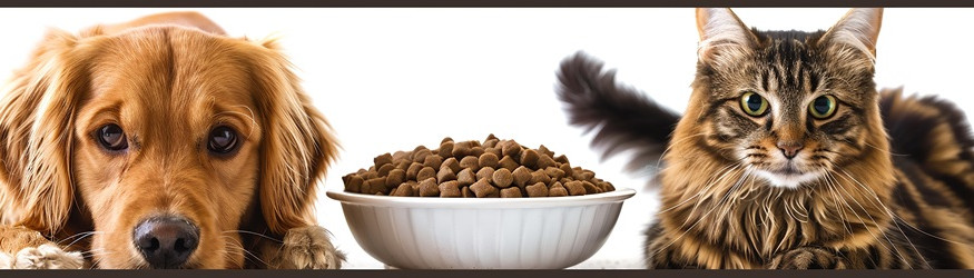 Kediler ve Köpeklerde Mama Seçiciliği