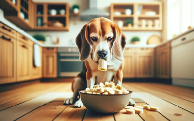 Köpekler Muz Yer mi?