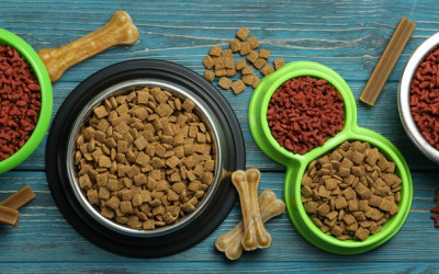 Kedi Köpek Mamalarında Kurutulmuş Et Teknolojisi