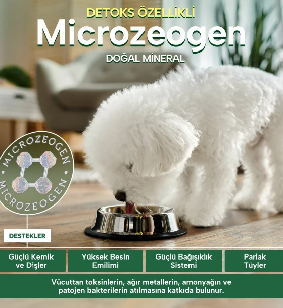 Nature's Protection Superior Care Beyaz Tüylü Köpekler için Kuzulu