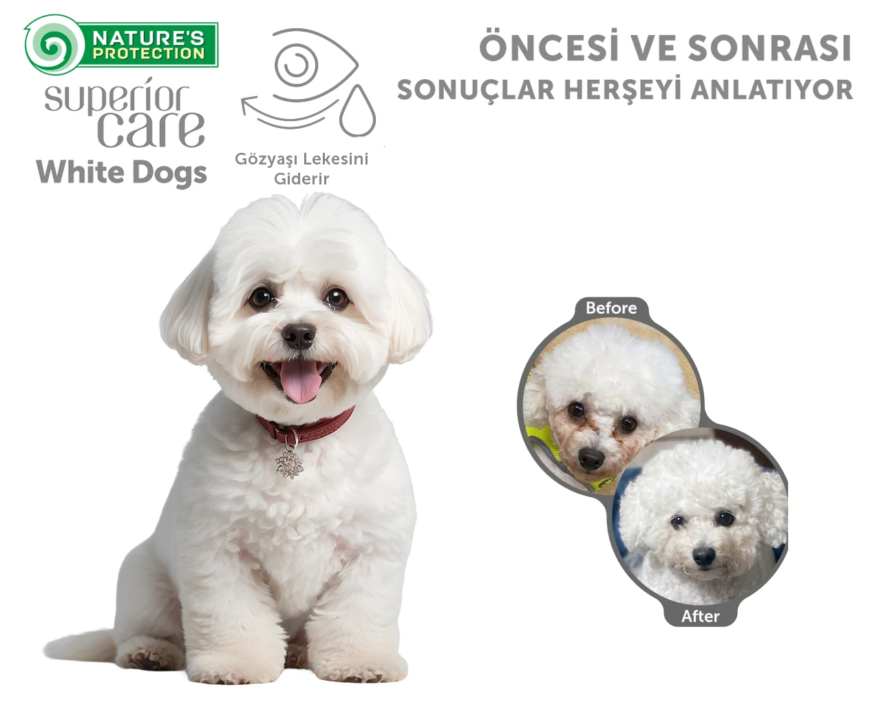Yeni Cesur Koleksiyonlarımıza Hazır Olun!