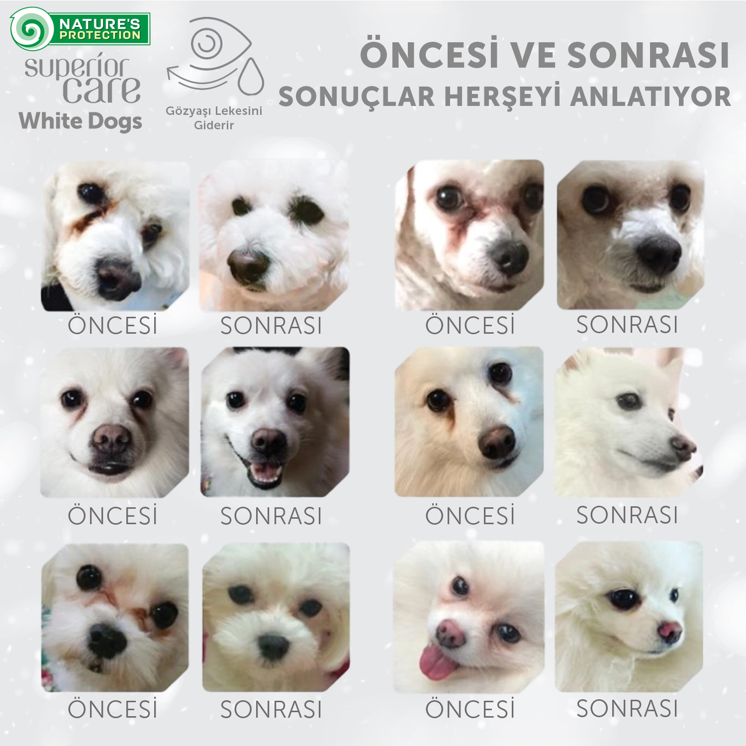 Yeni Cesur Koleksiyonlarımıza Hazır Olun!