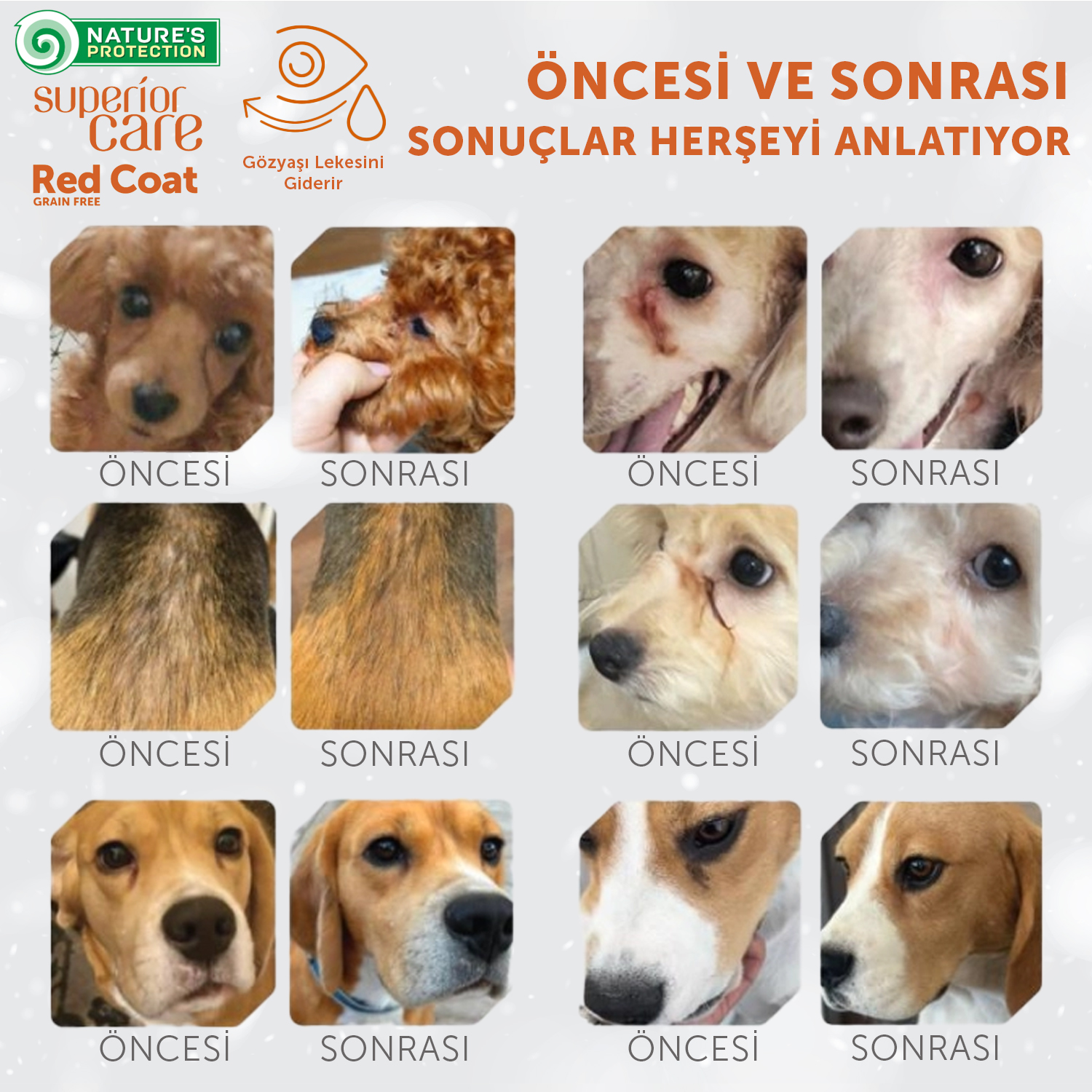 Yeni Cesur Koleksiyonlarımıza Hazır Olun!
