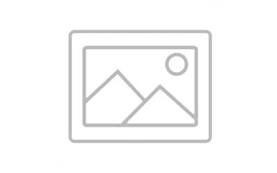 Kediler Sinek Yer mi? Zararlı mı, Riskli mi?